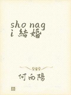 sho nagi 结婚
