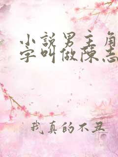 小说男主角的名字叫做陈志远