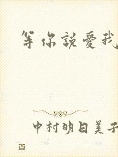 等你说爱我小说