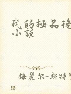 我的极品后宫 小说