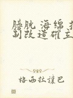 膀胱 海绵 控制改造确立m