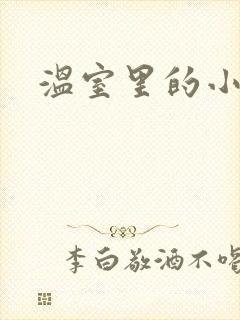 温室里的小百合