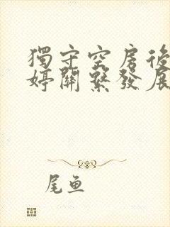 独守空房后与姜婷关系发展