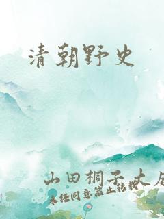 清朝野史