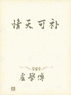 情天可补