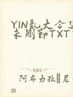 YIN乱大合集未删节TXT下载