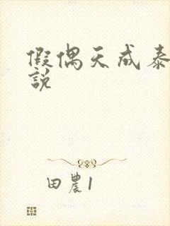 假偶天成泰剧小说