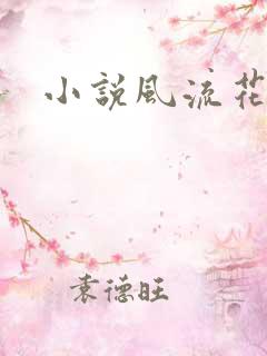 小说风流花少