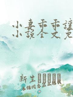 小妻乖乖让我宠小说全文免费阅读