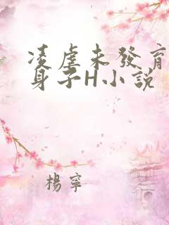 凌虐未发育的小身子H小说