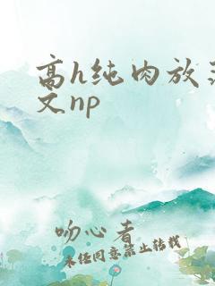高h纯肉放荡h文np