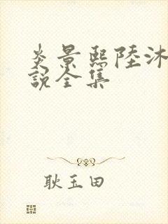 炎景熙陆沐擎小说全集