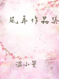 风弄作品集下载