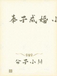 奉子成婚 小说