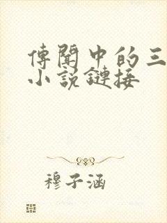 传闻中的三公主小说链接