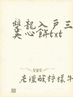 双龙入户三人行夹心饼txt