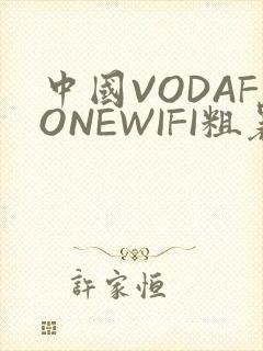 中国VODAFONEWIFI粗暴APP