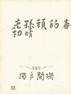 老孙头的春天林初晴