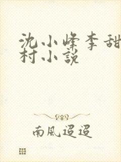 沈小峰李甜的乡村小说