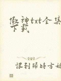 傲神txt全集下载