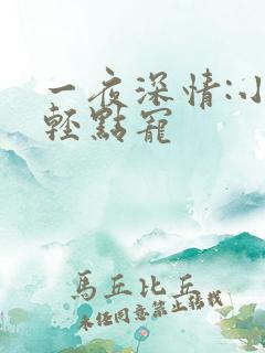 一夜深情:小叔轻点宠