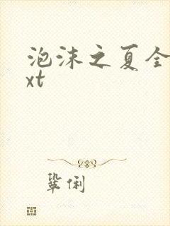 泡沫之夏全集txt