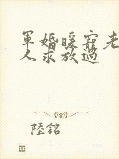 军婚暖宠老公大人求放过