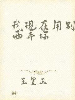 我现在用别的东西弄你