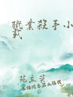 职业杀手小说下载