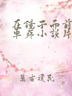 在镜子面前做开车疼小说片段