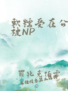 软糯受在公交车被NP