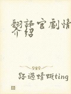 翻译官剧情分集介绍