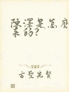 陈泽是怎么火起来的?