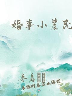 婚事小农民