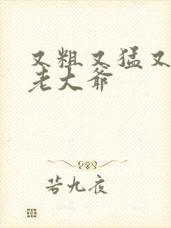 又粗又猛又大爽老大爷