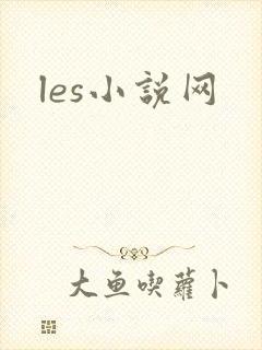 les小说网