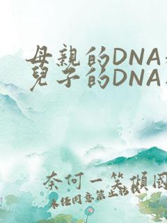 母亲的DNA和儿子的DNA是一样的吗