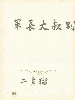 军长大叔别使坏