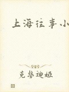 上海往事小说