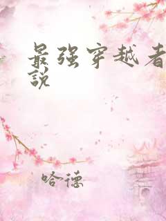 最强穿越者 小说