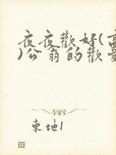 夜夜欢好(高h)公翁的欢爱h