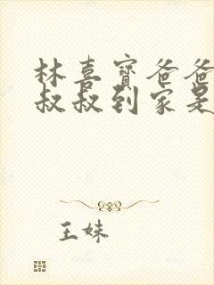 林喜宝爸爸叫李叔叔到家是哪一集