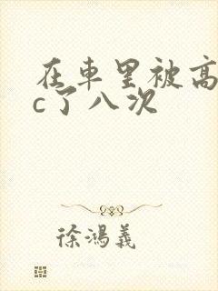 在车里被高潮被c了八次