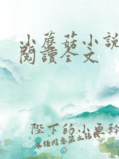 小蘑菇小说免费阅读全文