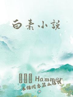 白素小说
