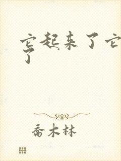 它起来了它想你了