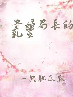 贵妇局长的蕾丝乳罩