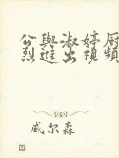 公与淑婷厨房猛烈进出视频