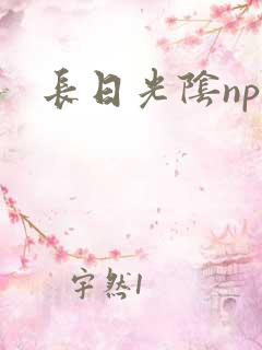 长日光阴np