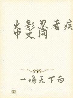 火影忍者疾风传中文网